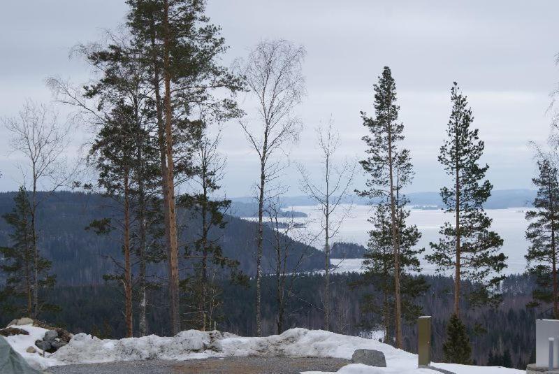 Riihivuoren Lomakylae Muurame Habitación foto
